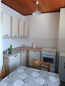 Kuchyň nebo kuchyňský kout v ubytování Apartment Hinic