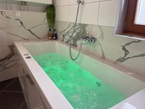 Koupelna v ubytování Wunderschöne Wohnung am See mit Sauna & Whirlpool
