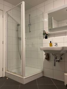 Koupelna v ubytování Wunderschöne Wohnung am See mit Sauna & Whirlpool