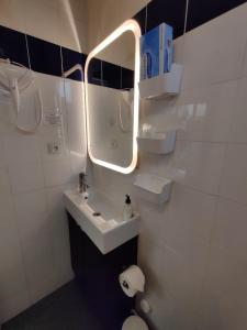 a bathroom with a sink and a mirror at Romantic Tiny House inside Montmartre in Paris +7 photos