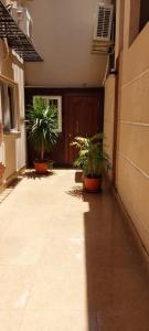 a hallway with potted plants in front of a building at Marron studios 6 in Cairo