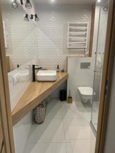 a bathroom with a sink and a toilet at Apartament Górska Fantazja in Ustroń