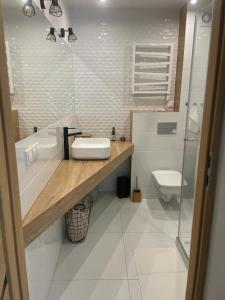 Kúpeľňa v ubytovaní Apartament Górska Fantazja
