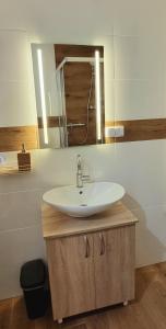 a bathroom with a sink and a mirror at Apartament G66 in Wydminy +10 photos