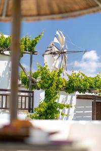 un molino de viento sobre un edificio blanco con plantas en Anemomilos, en Agia Anna de Naxos