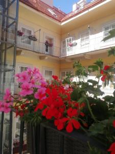 a bunch of red flowers in front of a building at Pertschy Palais Hotel in Vienna