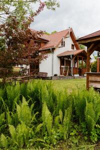 dom z mnóstwem roślin przed nim w obiekcie Wataha - domek całoroczny nad jeziorem w mieście Mikołajki
