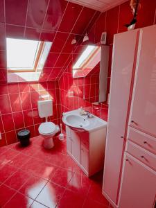Baño rojo con aseo y lavamanos en Ferienwohnung 2, en Dargen
