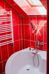 a red tiled bathroom with a shower and a sink at Ferienwohnung 2 in Dargen