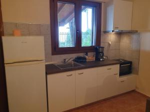 a kitchen with a white refrigerator and a sink at Villa Magnolia in Litochoro