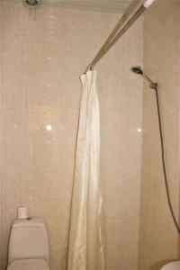 a shower curtain in a bathroom with a toilet at Taoskari Hotel in Vardzia