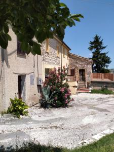 un edificio de piedra con flores rosas delante de él en La casa di Mastro Ivetto en Arcevia