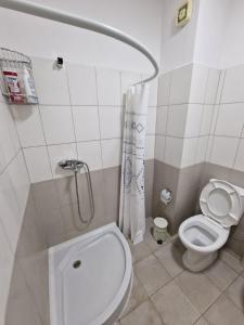 a small bathroom with a toilet and a shower at Donel Apartment in Durrës