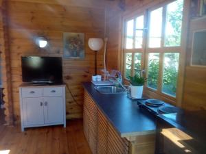 Massay的住宿－Agréable chalet en bois et son extérieur，带水槽的柜台的厨房和电视