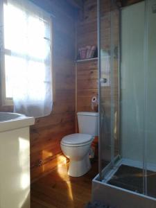 a bathroom with a toilet and a glass shower at Agréable chalet en bois et son extérieur in Massay