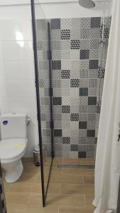 La salle de bains est pourvue d'une douche et de toilettes. dans l'établissement Pensiunea Trei Brazi Arieseni, à Arieşeni