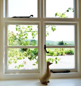 a toy duck sitting in front of a window at Country Cottage with Far Reaching Views in Presteigne