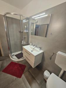 a bathroom with a sink and a shower and a toilet at Apartmani Viktorija in Fažana