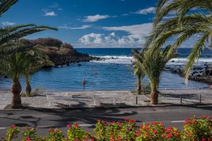 a beach with palm trees and people in the water at Apartamentos Charco del Conde in Valle Gran Rey