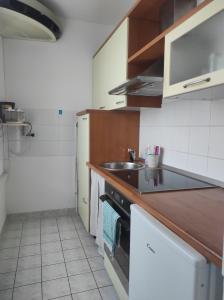 eine Küche mit einer Spüle und einer Arbeitsplatte in der Unterkunft Studio Vela in Izola