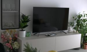 TV a/nebo společenská místnost v ubytování Mint Apartment
