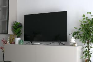 TV a/nebo společenská místnost v ubytování Mint Apartment