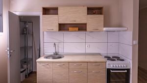 a kitchen with a sink and a stove at Charna apartment Beograd Železnik in Železnik