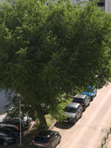 Fotografie z fotogalerie ubytování Mint Apartment ve Splitu
