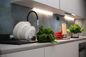 Kuchyň nebo kuchyňský kout v ubytování Mint Apartment