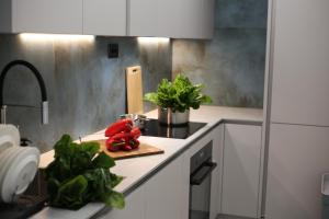 Kuchyň nebo kuchyňský kout v ubytování Mint Apartment