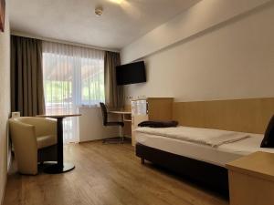 TV a/nebo společenská místnost v ubytování Hotel-Restaurant Lampenhäusl