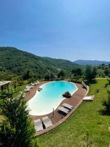 einen großen Pool mit Liegestühlen und einem Pool in der Unterkunft Agriturismo Piano di Andrea in Ostigliano