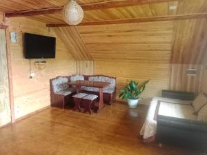 TV a/nebo společenská místnost v ubytování Під горою