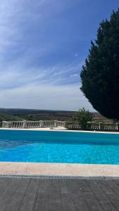 una piscina azul con un árbol en el fondo en Venus House en Lamas