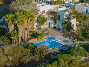 an aerial view of a villa with a swimming pool and palm trees at Antonina Hotel in Agia Anna Naxos