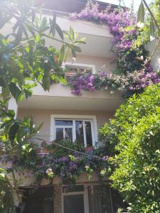 un edificio con flores púrpuras a su lado en Flowers Guesthouse, en Tirana