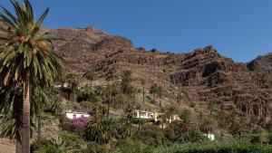 a mountain with palm trees and a house in front at Apartamentos Charco del Conde in Valle Gran Rey