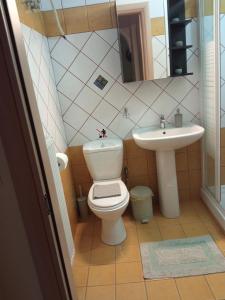a small bathroom with a toilet and a sink at Sofia's Garden in Nea Peramos +24 photos