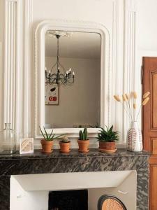 un bagno con specchio e piante su un bancone di L'Occithalie Nîmes Ecusson 2 chambres 72m2 a Nîmes