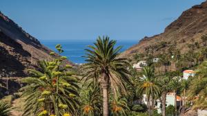 a group of palm trees in front of the ocean at Apartamentos Charco del Conde in Valle Gran Rey