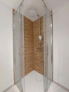 eine Dusche mit Glaskabine im Bad in der Unterkunft ° Studio 1 - Lunéville centre ° in Lunéville