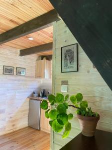 a kitchen with a potted plant sitting on a table at Domek przy Rozpadlisku in Podgórzyn