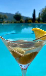 a martini glass with a lemon wedge in it at Relais Villa Baldelli in Cortona