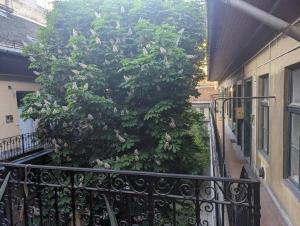 un grand arbre en face d'un balcon dans l'établissement Gallery flat in Party district, à Budapest