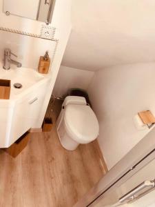 ein kleines Bad mit WC und Waschbecken in der Unterkunft Studio avec vue mer exceptionnelle sur la plage in Dieppe