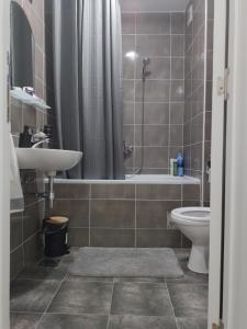 uma casa de banho com um lavatório, um WC e um chuveiro em Lilien apartman em Veternik