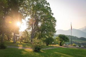 un parc où le soleil brille à travers les arbres dans l'établissement Parkhotel Beatenberg, à Beatenberg