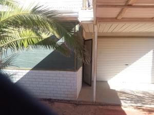una palmera delante de una casa en Opal Back House, en Coober Pedy