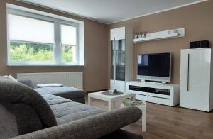 sala de estar con sofá y TV en Am Quellenhäuschen, en Naila