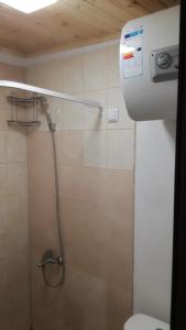 a shower in a bathroom with a toilet at Nameliai ir apartamentai Šventojoje in Šventoji